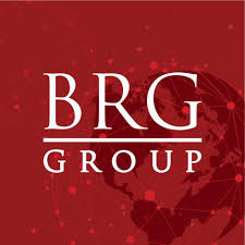 Công ty Cổ phần Tập đoàn BRG