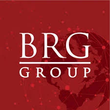 Công ty Cổ phần Tập đoàn BRG