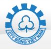 Công ty CP Bông Việt Nam
