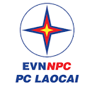 Công ty điện lực Lào Cai