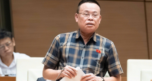 Đại biểu Quốc hội đề xuất 4 giải pháp trọng tâm nhằm khơi dậy tiềm lực doanh nghiệp tư nhân