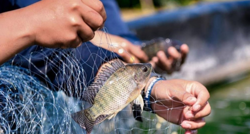 Một mặt hàng Việt “đột phá” tăng 174% vào thị trường Mỹ, lập đỉnh 5 năm
