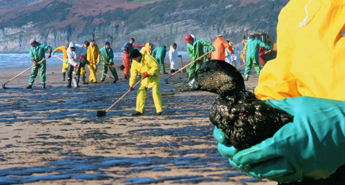 Nam Mỹ sẽ trở thành thủ phủ dầu mỏ của thế giới, nguy hay cơ?