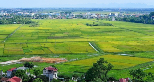 Doanh nghiệp bất động sản cần lưu ý gì với Nghị định số 291/2025/NĐ-CP?