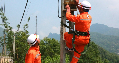 PC Lào Cai đẩy mạnh chuyển đổi số hệ thống đọc xa công tơ sang EVNHES