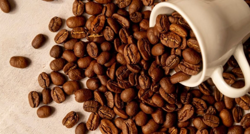 Giá nông sản hôm nay (12/12): Giá cà phê tăng, hồ tiêu neo ở mức cao