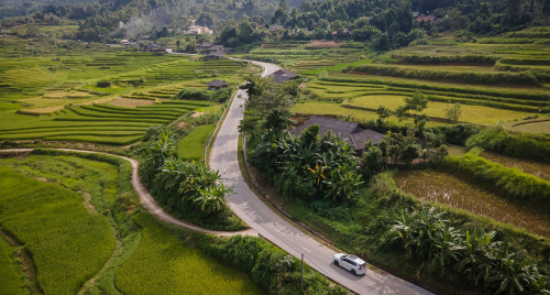 Thị trường ô tô Việt 2025: Mở đầu kỷ nguyên hybrid lên ngôi