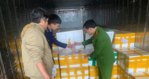 Thu giữ hàng chục tấn cá chứa chất cấm cực độc đang trên đường đi tiêu thụ