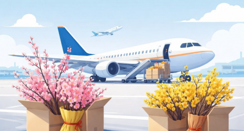 Đào, Mai "đi máy bay" tăng cao dịp Tết, giá gần nửa triệu mỗi cành