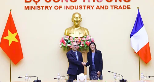 Thứ trưởng Lương Hoàng Thái làm việc với Bộ trưởng Pháp, thúc đẩy hợp tác Việt Nam - Pháp