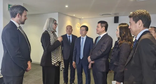 Việt Nam - Nam Phi mở rộng dư địa hợp tác kinh tế
