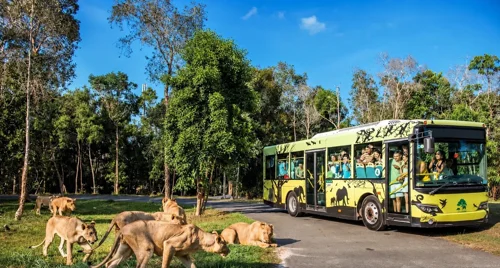 Công viên Safari Ba Vì sắp được xây dựng có gì?