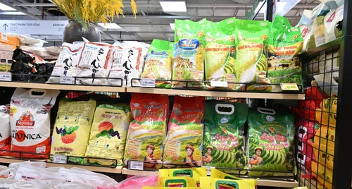 Bộ Công Thương ban hành Thông tư số 65/2026/TT-BCT về kinh doanh xuất khẩu gạo