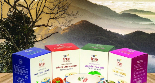 Định hình con đường dược liệu Việt: Tư duy chiến lược của Anh hùng Lao động Thái Hương