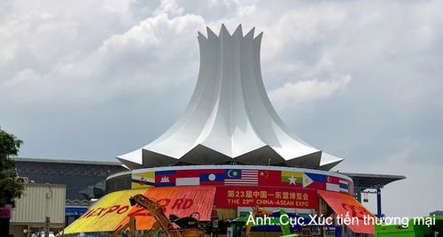 CAEXPO 2026 mở thêm cơ hội cho hàng Việt tại thị trường Trung Quốc
