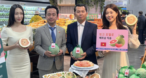 Việt Nam - Hàn Quốc hướng tới mục tiêu kim ngạch thương mại 150 tỷ USD vào năm 2030