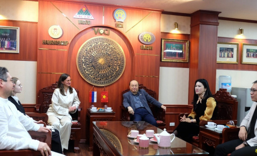 HBA–VACOD khởi động hợp tác Việt – Nga ngay đầu năm 2026