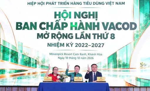 VACOD tổ chức Hội nghị Ban chấp hành mở rộng lần thứ 8, nhiệm kỳ 2022 - 2027