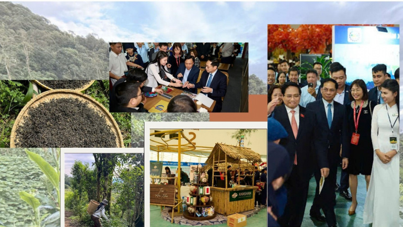 Đặt cược vào phẩm chất trà cổ thụ, ANNSHAN khẳng định sự khác biệt bằng kỹ thuật tinh hoa và nghệ nhân Việt