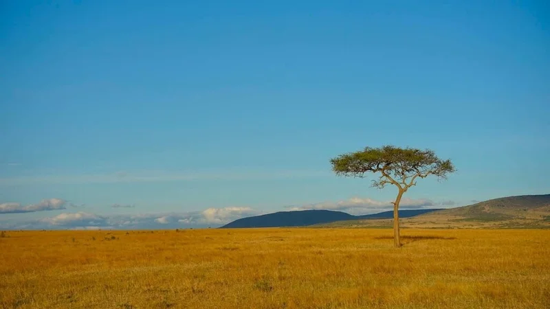 Nam du khách chia sẻ trải nghiệm 13 ngày tại Kenya, cách săn ảnh voi hoang dã dưới chân núi tuyết Kilimanjaro
