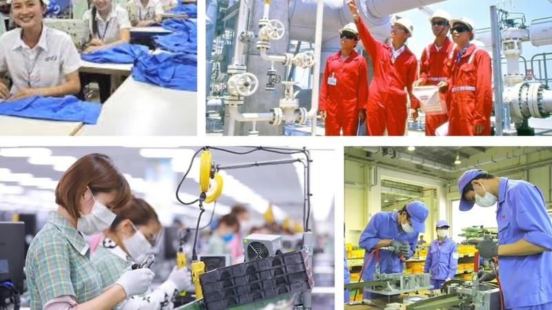 Công khai toàn bộ kết quả xử lý kiến nghị của doanh nghiệp trên Cổng TTĐT Chính phủ