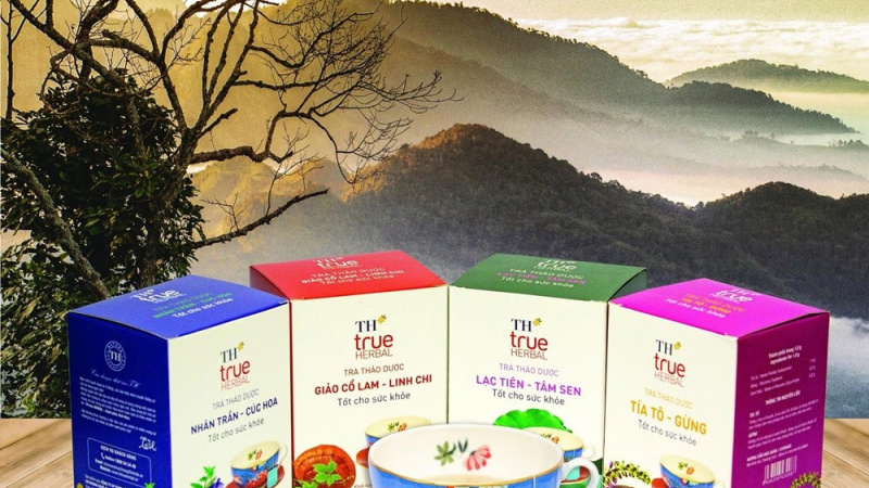 Định hình con đường dược liệu Việt: Tư duy chiến lược của Anh hùng Lao động Thái Hương