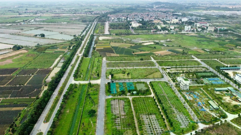 Vì sao đấu giá đất hạ nhiệt?