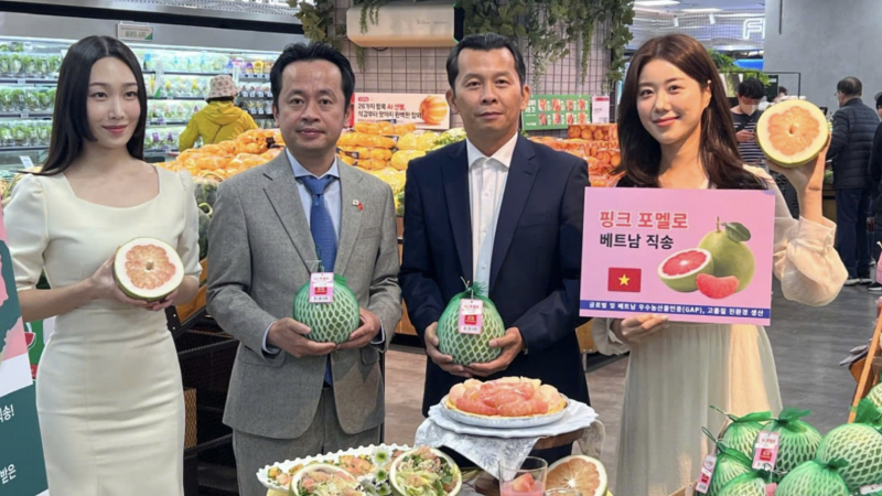 Việt Nam - Hàn Quốc hướng tới mục tiêu kim ngạch thương mại 150 tỷ USD vào năm 2030
