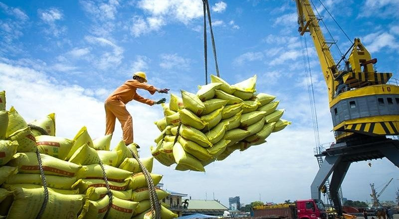 Thương nhân gạo vững tin giữa “bão” giá xuất khẩu