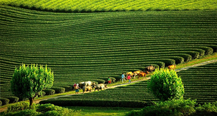 Gợi ý những địa điểm du lịch không thể bỏ lỡ vào tháng 10