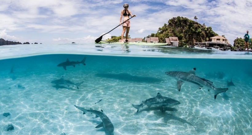 Việt Nam trong bản đồ nghỉ dưỡng thầm lặng của giới siêu giàu