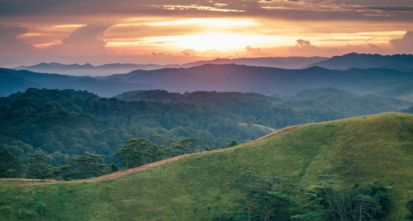 Con đường của những thương gia nguyên thủy