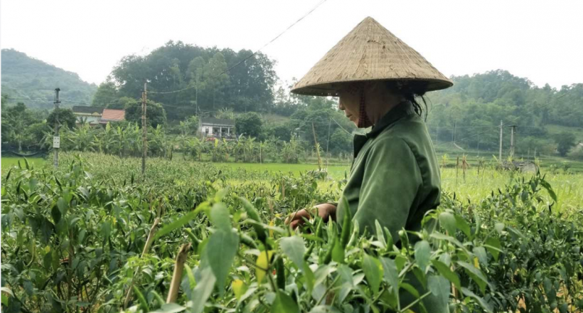 Kết nối thương mại, lan tỏa giá trị sản vật Lạng Sơn