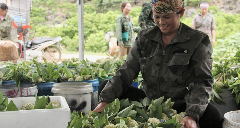 Thương hiệu Na Chi Lăng và khát vọng vươn xa