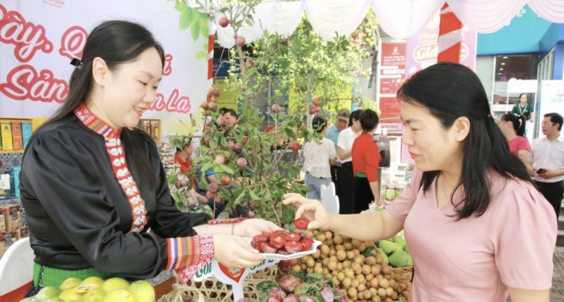 Xúc tiến thương mại: "Mở lối" cho sản phẩm Sơn La vươn xa