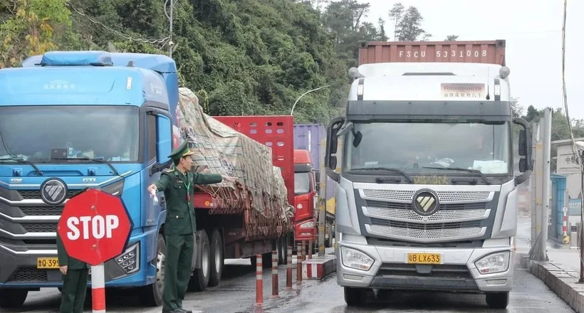 Tạm dừng áp dụng Nghị định số 46 về an toàn thực phẩm đến hết ngày 15/4