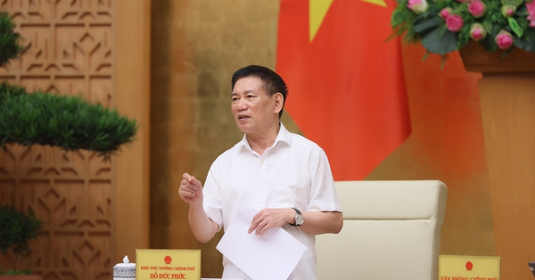 Phó Thủ tướng Hồ Đức Phớc: Cổ phần hóa là để doanh nghiệp mạnh lên chứ không phải bán đất