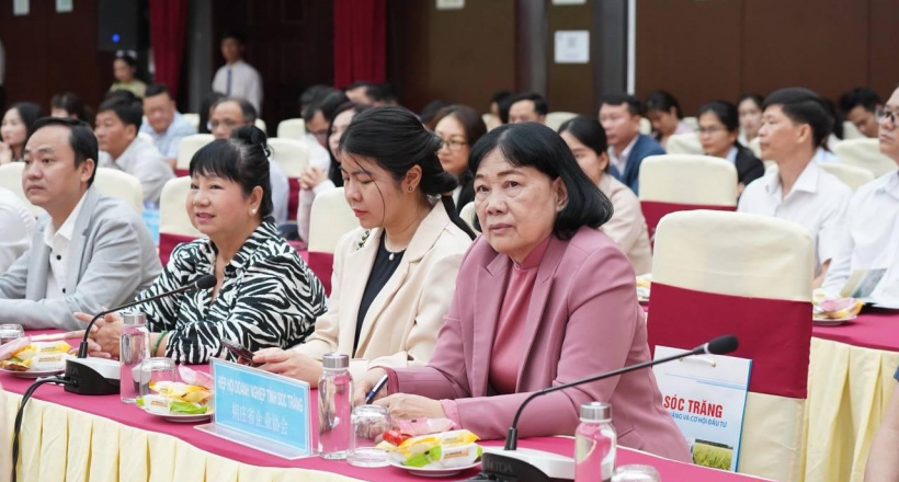 Người Trung Quốc qua Việt Nam hay mua bánh pía Sóc Trăng về làm quà