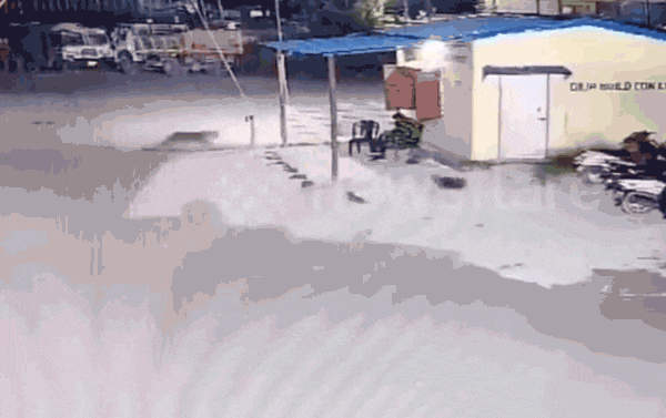 “Đứng tim” chứng kiến báo hoang lao tới bắt chó con ngay trước mặt