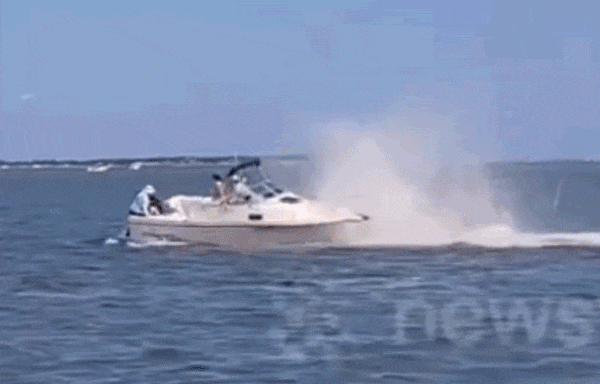 Nữ du khách bị hất bay xuống biển khi cá voi “quẫy đuôi” va chạm với ca-nô