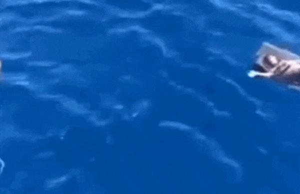 Nam ngư dân được giải cứu sau 24 giờ lênh đênh trên vùng biển Quảng Ngãi