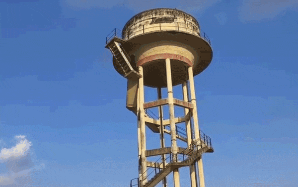 Kinh ngạc phát hiện con bò đực “hiện diện” trên tháp nước