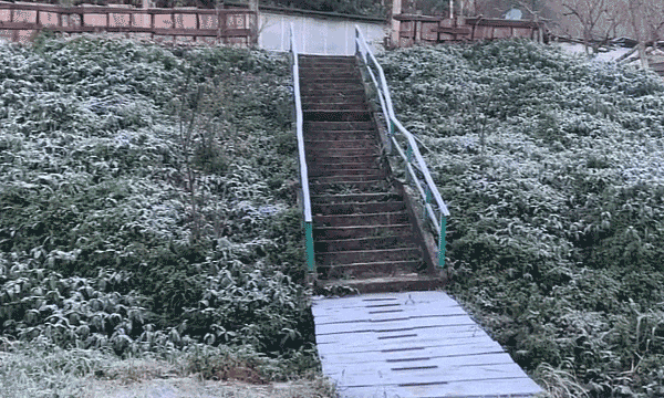 Nhiệt độ hạ xuống -5 độ C, xuất hiện băng giá bao phủ cây cối ở Nghệ An