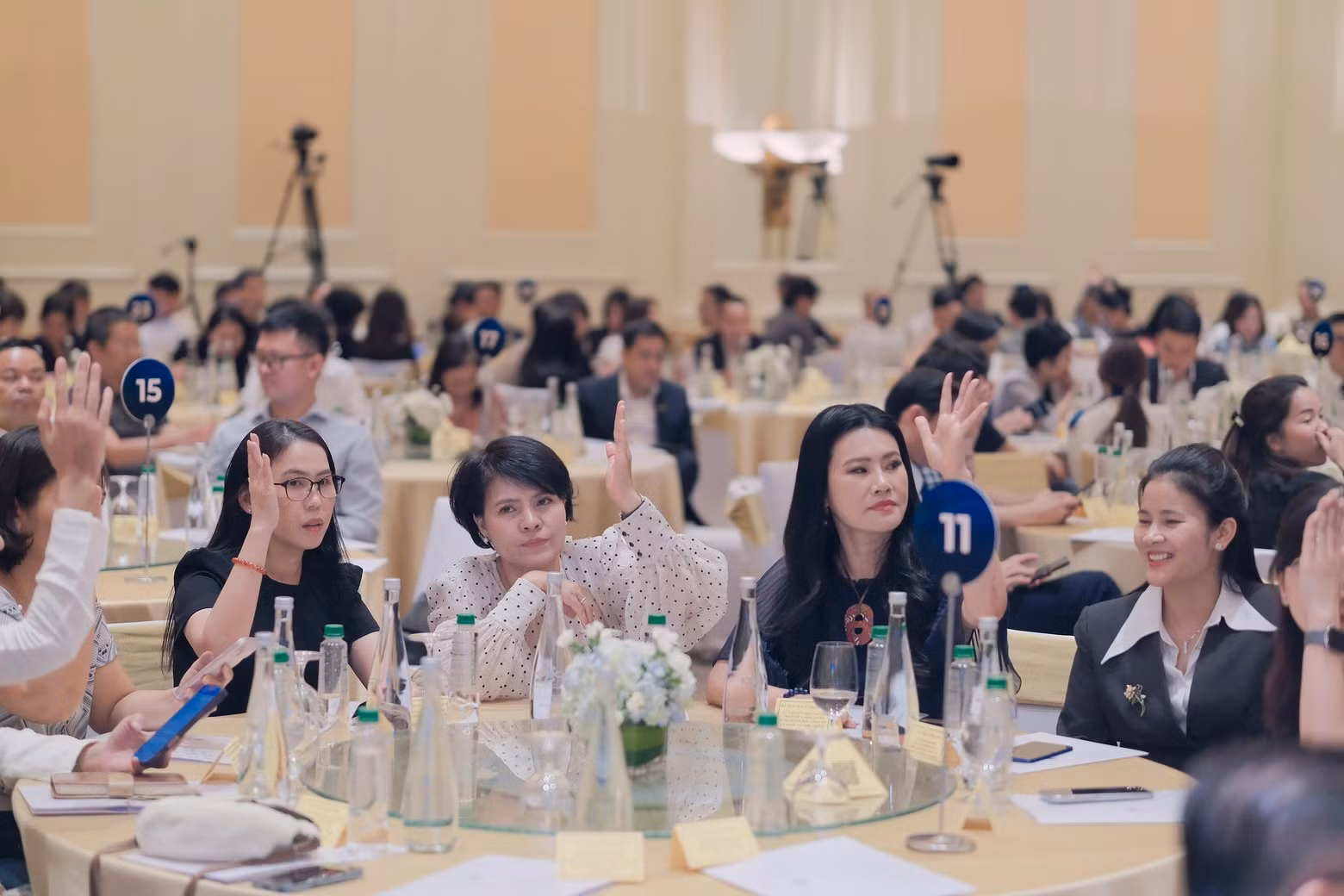 e4ec8dbf-5177-46b7-b41f-ba216e83504d-56965-0000248079dd0710.jpg.avif