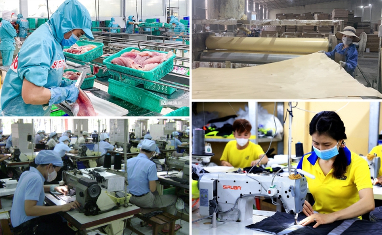 Quyết liệt thực hiện 3 đột phá chiến lược để phát triển kinh tế tư nhân- Ảnh 1.