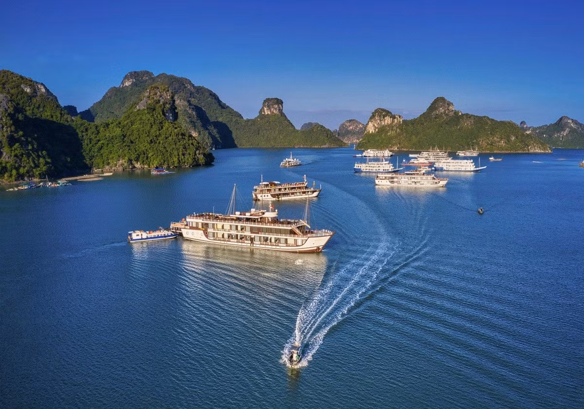 anh-2-10.jpg.avif