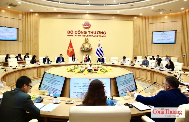 Việt Nam - Uruguay thúc đẩy hợp tác kinh tế, thương mại và đầu tư - 1