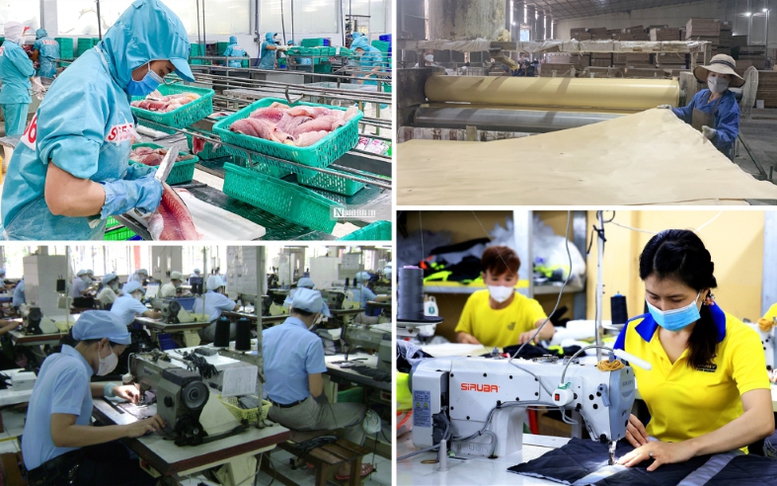 Chính sách ưu đãi thuế phát triển kinh tế tư nhân