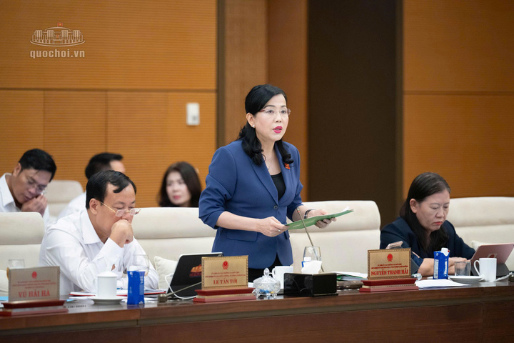 Chủ nhiệm Ủy ban Khoa học, Công nghệ và Môi trường của Quốc hội Nguyễn Thanh Hải trình bày báo cáo thẩm tra sơ bộ dự án Luật sửa đổi, bổ sung một số điều của Luật Điện lực. Ảnh: Vũ Hiếu